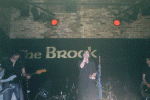 Brook13